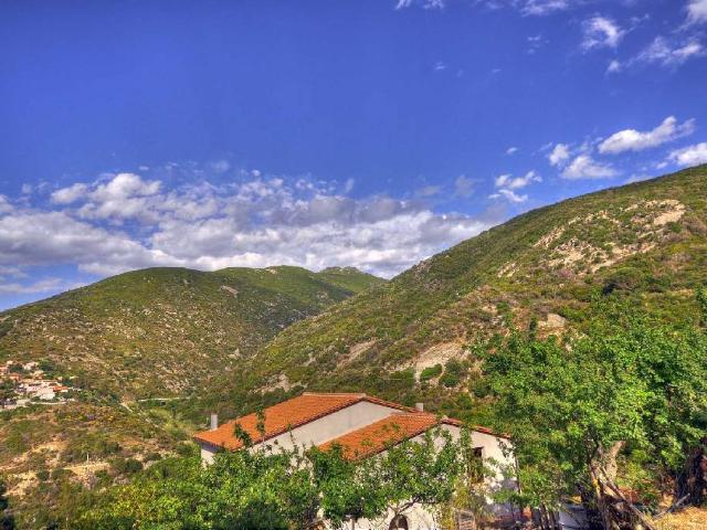 VILLA in VENDITA a MARCIANA MARE di 7 vani