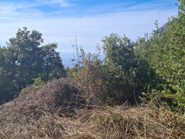 Villa in vendita a Maratea PZ