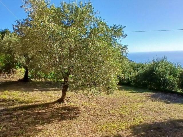 Villa in vendita a Maratea PZ