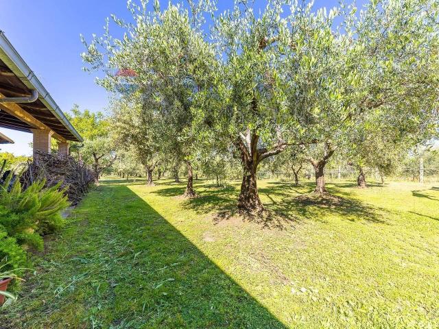 Villa in vendita a Marino