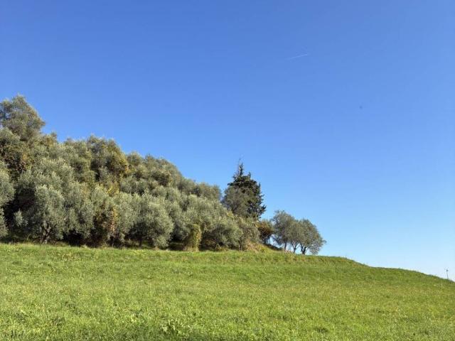 Villa in vendita a Marostica VI
