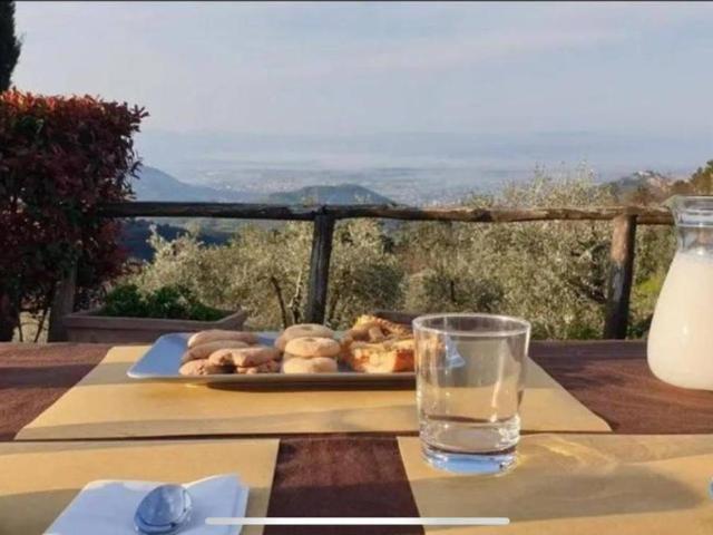 Villa in vendita a Marliana PT