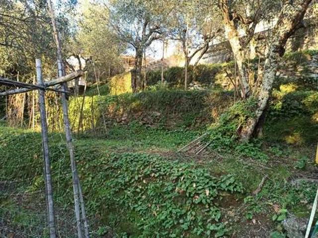Villa in vendita a Massa MS
