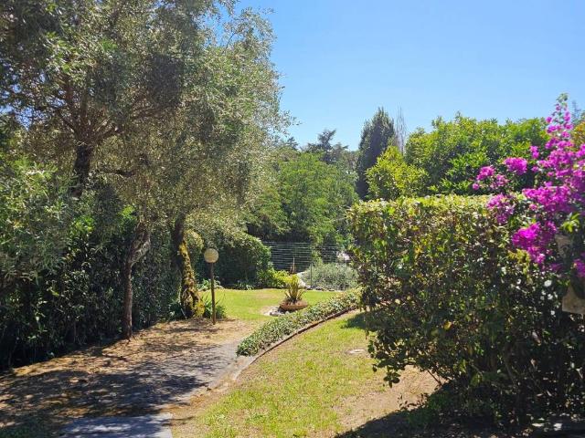 Villa in vendita a Massarosa LU