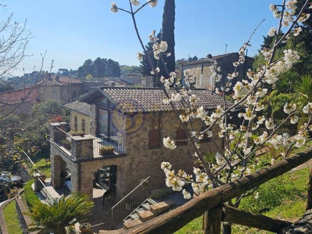 Villa in vendita a Massarosa LU