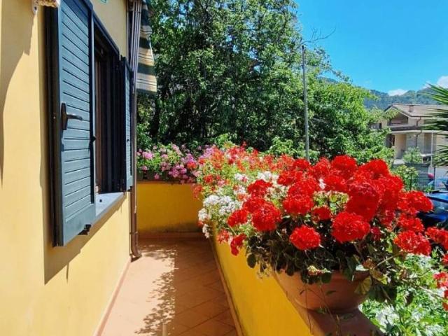Villa in vendita a Massarosa LU