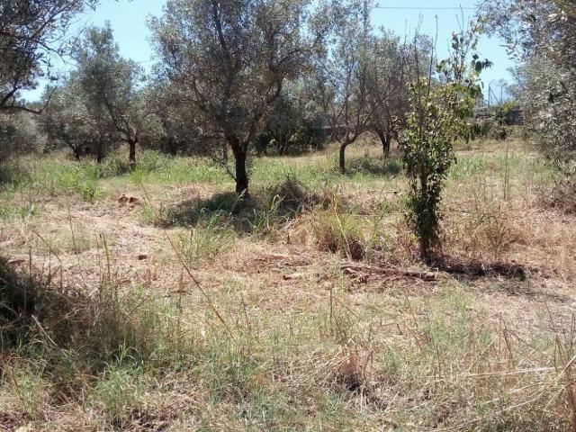 Villa in vendita a Melilli SR