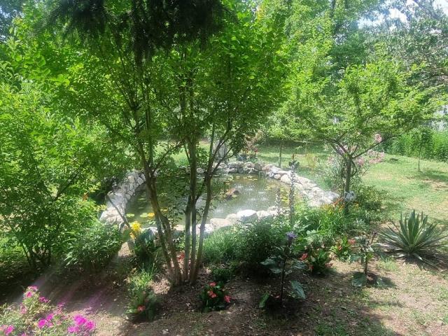 Villa in vendita a Milano MI
