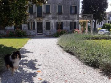 Villa in vendita a Mira VE