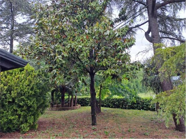 Villa in vendita a Mira VE