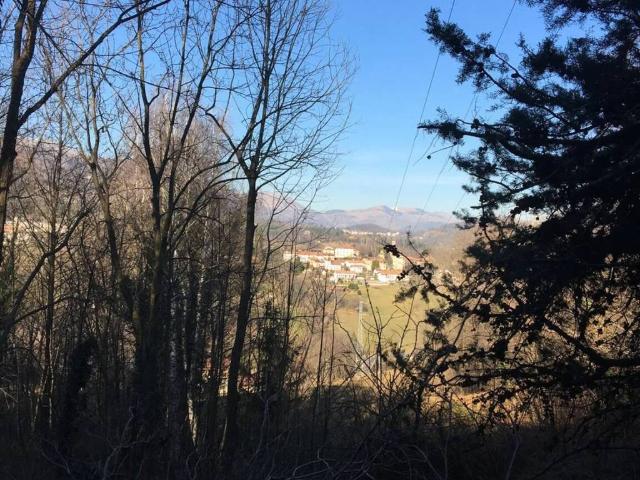 Villa in vendita a Muzzano BI