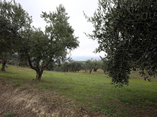 Villa in vendita a Notaresco TE