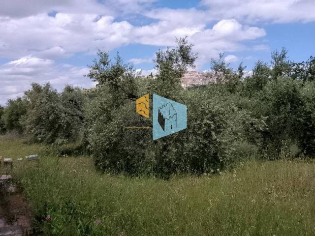 Villa in vendita a Nova Siri MT