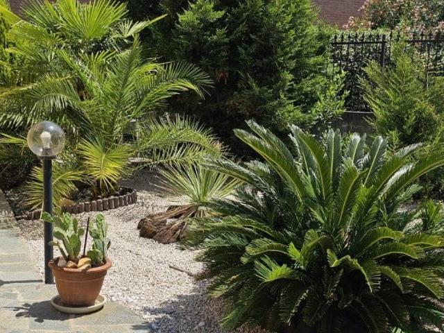 Villa in vendita a Novara NO