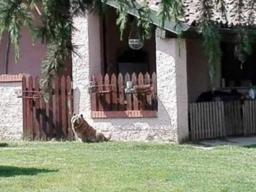 Villa in vendita a Novara NO