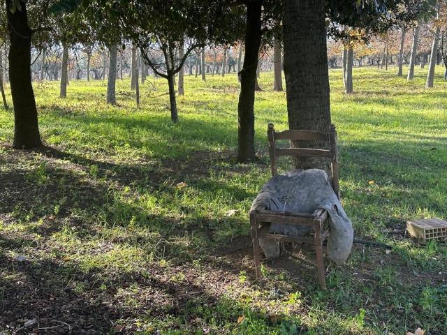 Villa in vendita a Nocciano PE