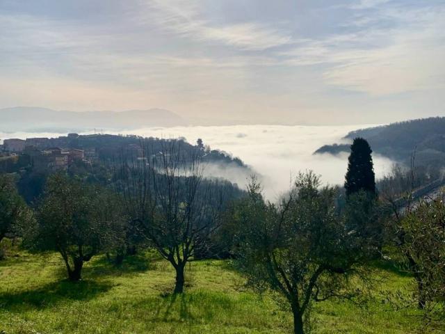 Villa in vendita a Nazzano RM