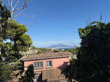 Piazza salvatore di giacomo - Giardino