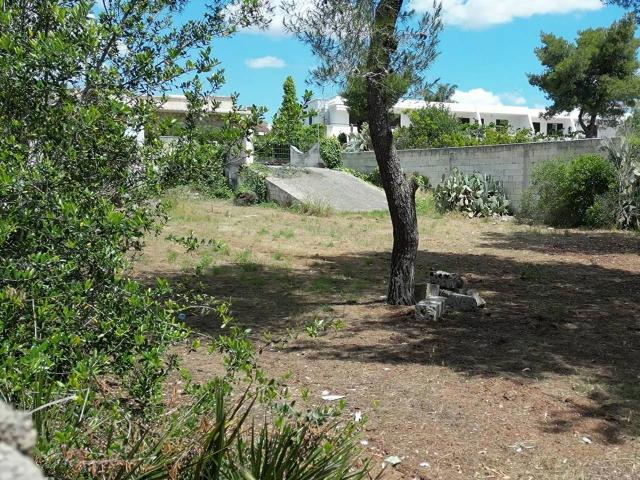 Villa in vendita a Nardo'