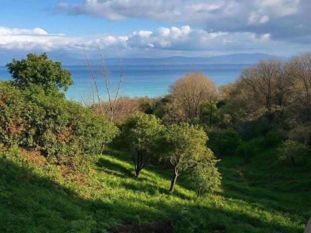 Villa in vendita a Naso ME
