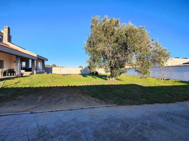Villa in vendita a Nettuno RM