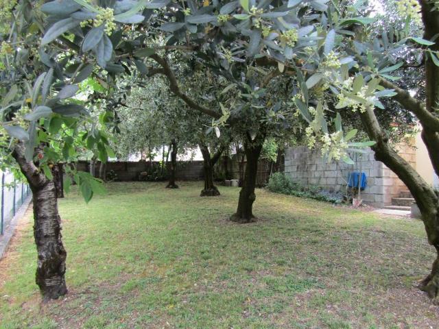 Villa in vendita a Negrar di Valpolicella VR