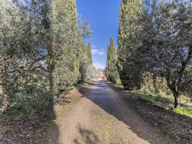 Villa in vendita a Nepi VT