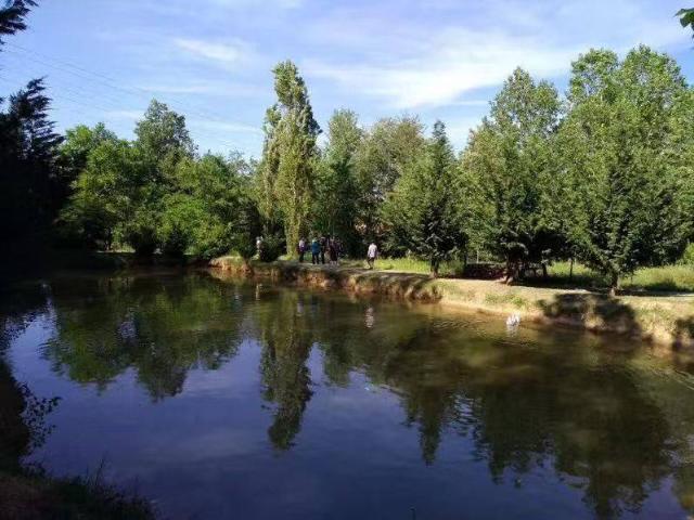 Villa in vendita a Nizza Monferrato AT