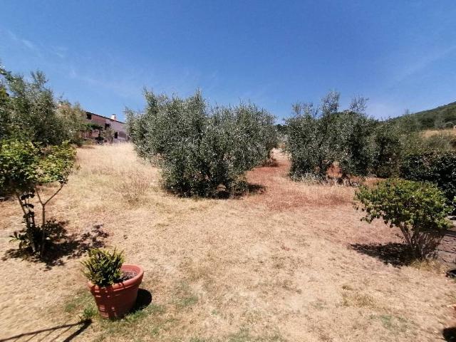 Villa in vendita a Sorano GR