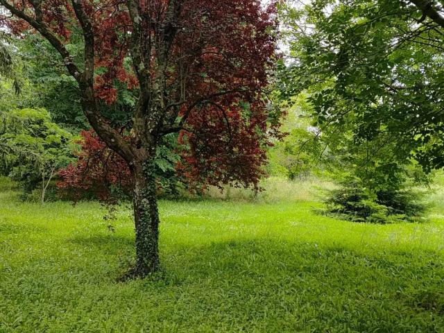 Villa in vendita a Sorano GR