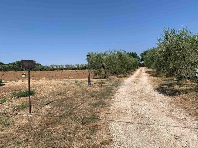 Villa in vendita a Soriano nel Cimino VT