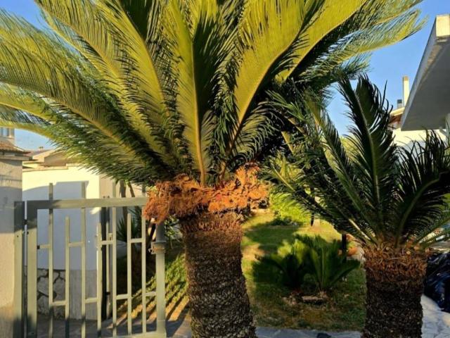 Villa in vendita a Sabaudia LT