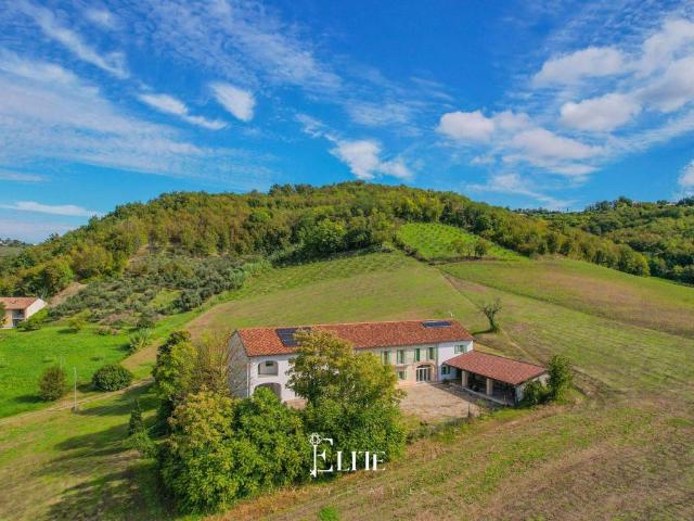 Villa in vendita a Sala Monferrato AL