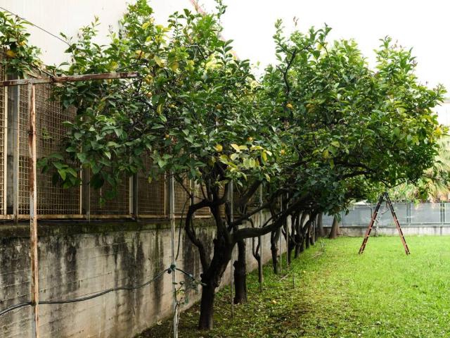 Villa in vendita a Salerno SA