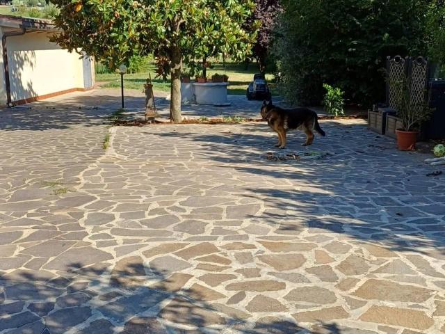 Villa in vendita a San Miniato