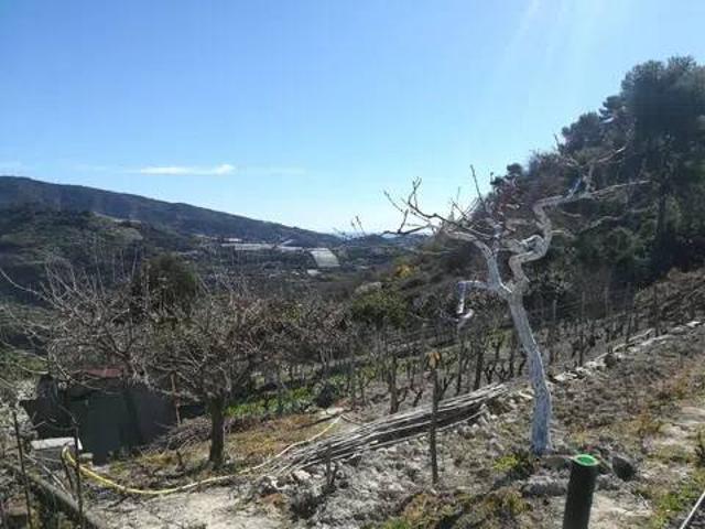 Villa in vendita a San Biagio della Cima IM