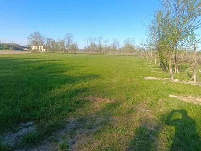 Villa in vendita a San Biagio di Callalta TV