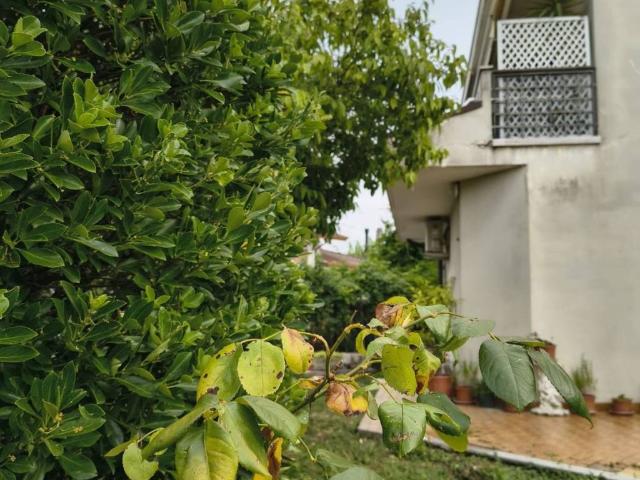 Villa in vendita a San Biagio di Callalta TV