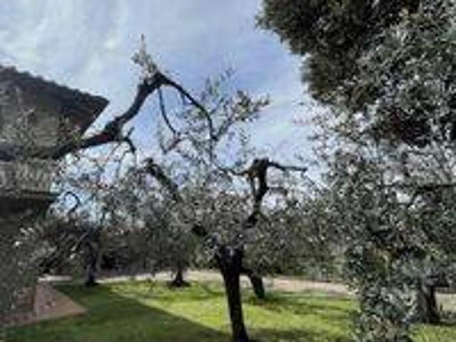 Villa in vendita a San Casciano in Val di Pesa FI