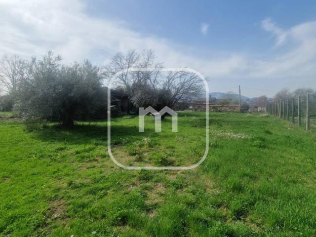 Villa in vendita a San Cesareo RM
