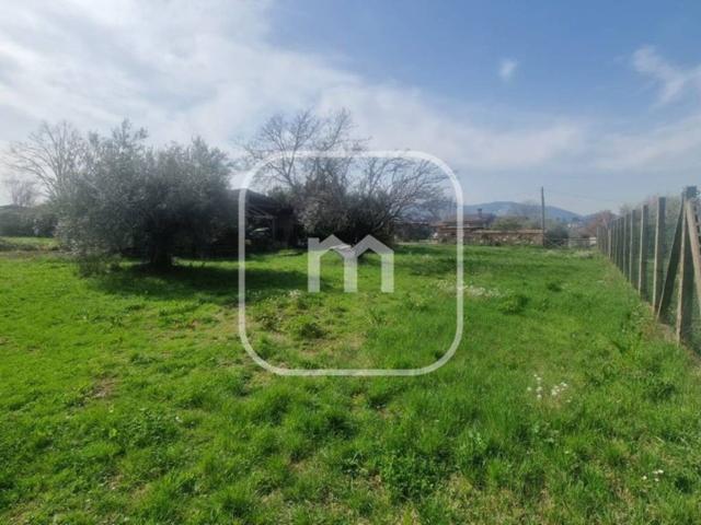 Villa in vendita a San Cesareo RM