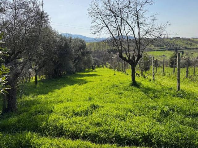 Villa in vendita a San Cesareo RM