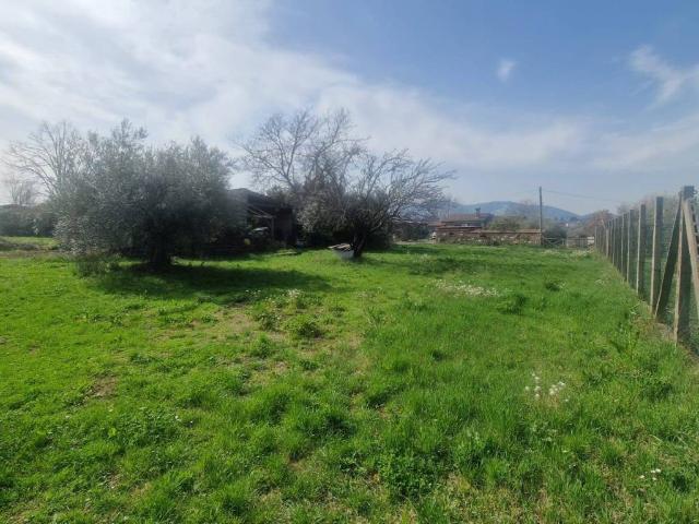 Villa in vendita a San Cesareo RM