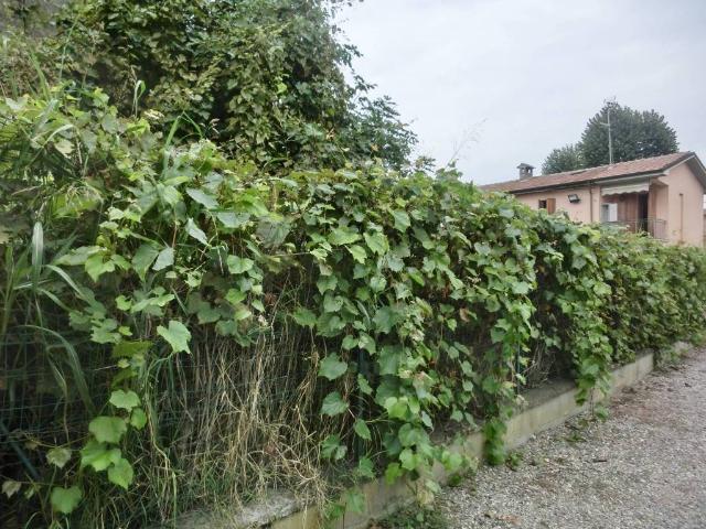 Villa in vendita a San Colombano al Lambro MI