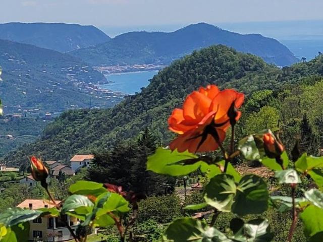 Villa in vendita a San Colombano Certenoli GE
