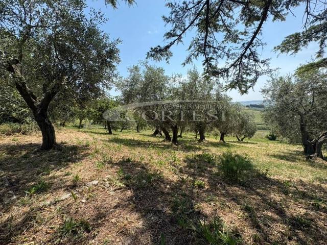 Villa in vendita a San Costanzo PU