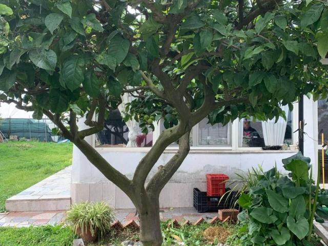 Villa in vendita a San Felice Circeo LT