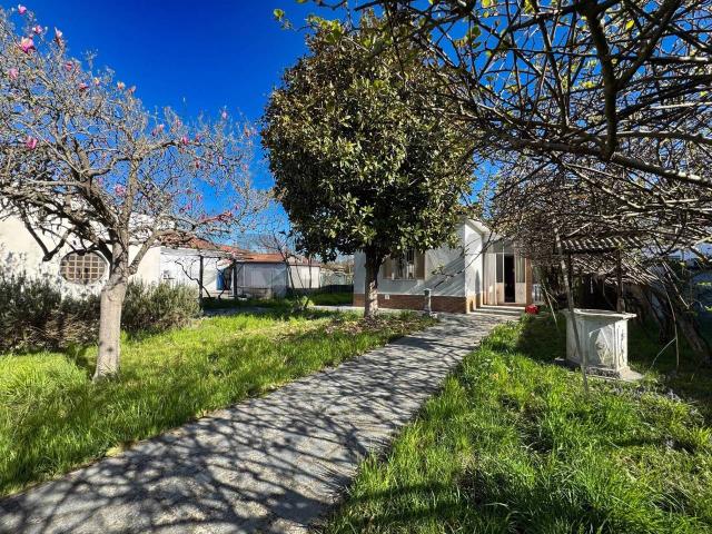 Villa in vendita a San Germano Vercellese