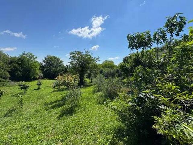 Villa in vendita a San Giorgio Monferrato AL