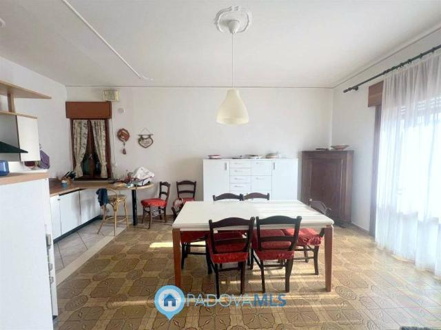 Villa in vendita a San Pietro Viminario PD